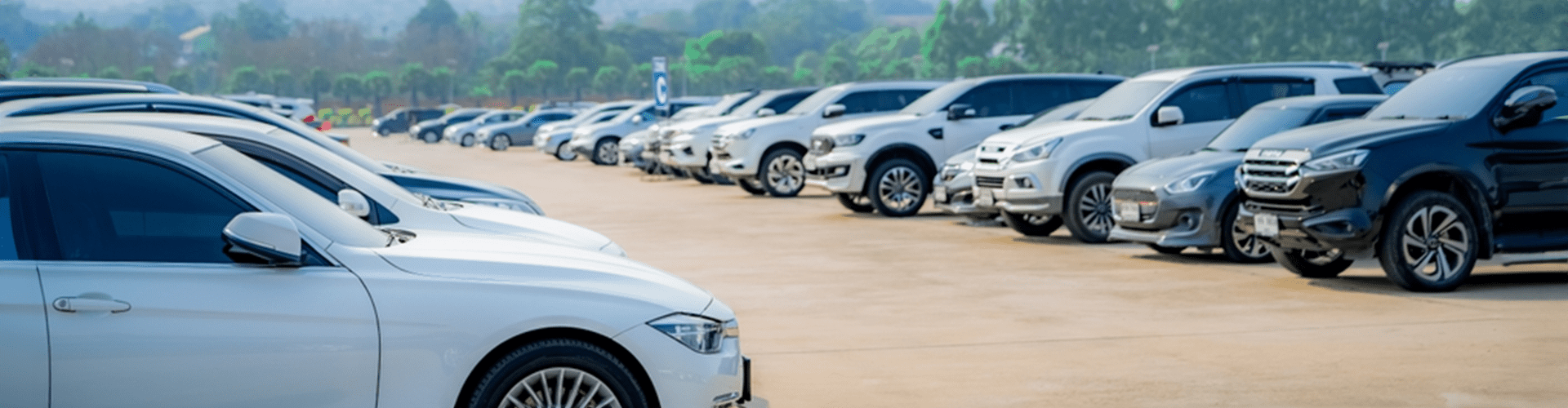 &nbsp;